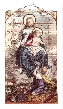 A Prayer Most Dear to Mary - Laminated Cards