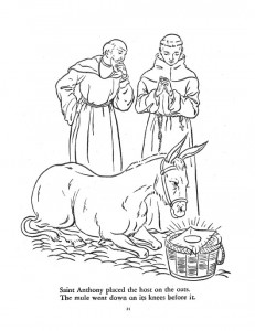 The Legend of St. Anthony, the Fishes and the Mule - Coloring Book