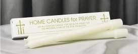 Steric Candlemas Candles 7/8"x 8.5"