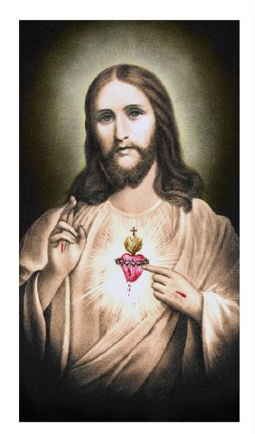 Novena to the Sacred Heart - Laminated Cards