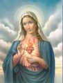 Immaculate Heart 8x10 Picture
