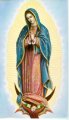 O.L. Guadalupe Holy card, 10 EA