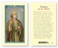 St. Peter Novena Laminated Holy Card
