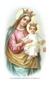 Novena to Our Lady of Mt. Carmel Holy Card
