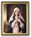 Our Lady of the Cloak 8x10 Framed Picture