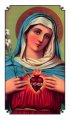 Sacred Heart of Mary Holy Card Laminated