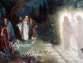 Rejoice! Alleluia! Easter Card - Pack of 12 Cards