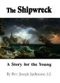 The Shipwreck - A Story for the Young - Slightly Defective