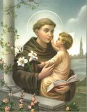 St. Anthony 8x10 Picture