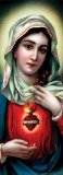 Immaculate Heart of Mary Bookmark - No Prayer