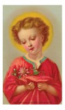 Child Jesus with Crown of Thorns Holy Card Laminated