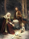 Holy Family with Birds 8x10 Picture