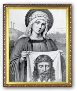 Veronica's Veil 8x10 Framed Picture