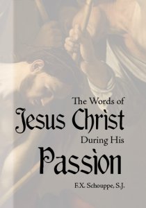 The Words of Jesus Christ During His Passion
